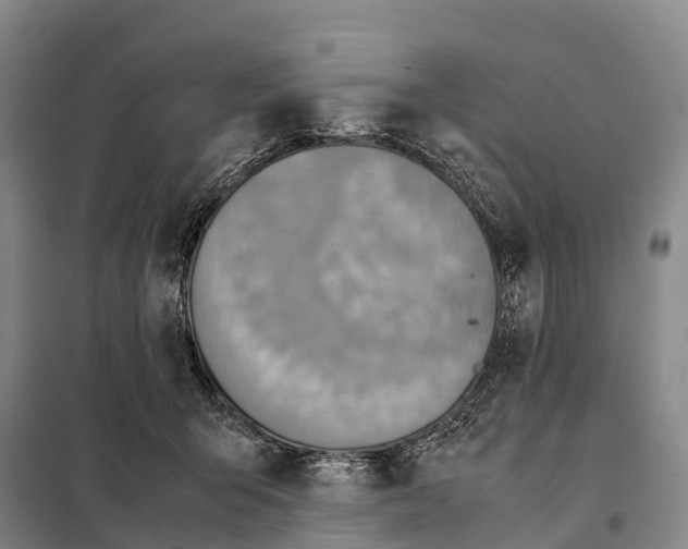 X0000098020415200804251142