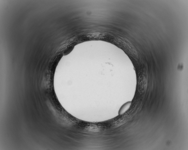 X0000098020416200804251142