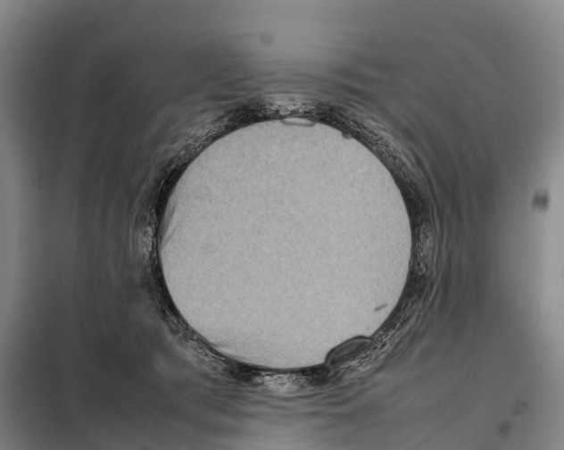 X0000098020417200804251142