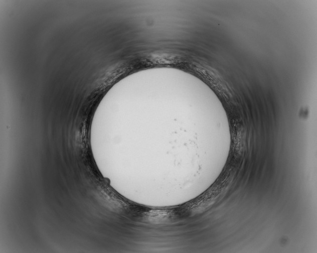 X0000098020418200804251142