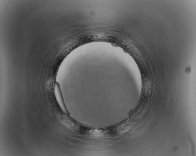 X0000098020419200804251142
