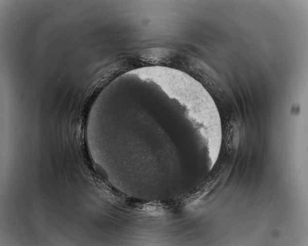 X0000098020420200804251142