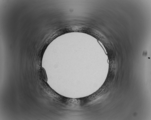 X0000098020421200804251142