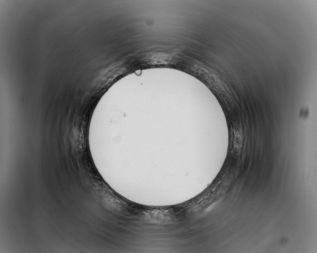 X0000098020422200804251142