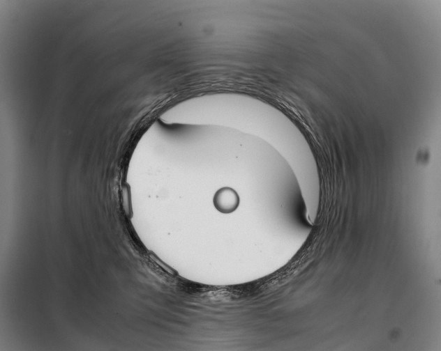 X0000098020423200804251142
