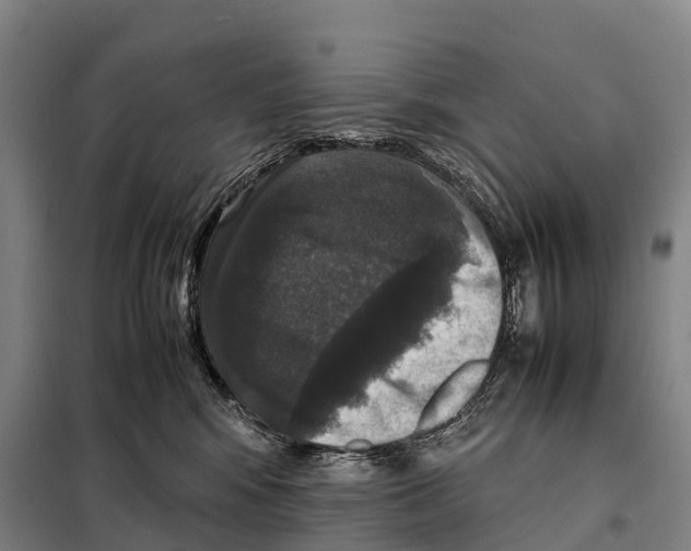 X0000098020424200804251142