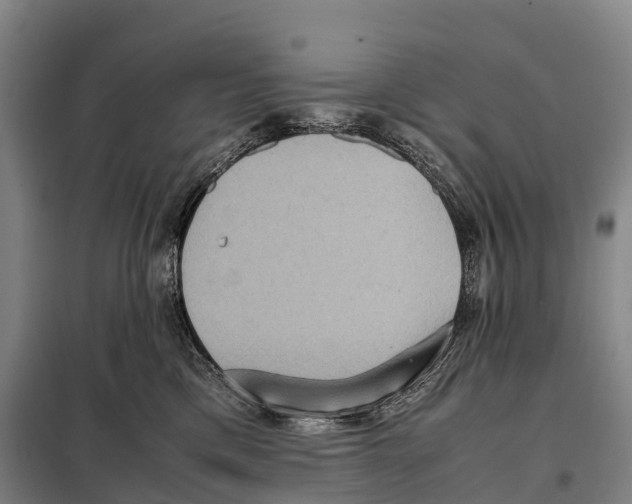 X0000098020425200804251142