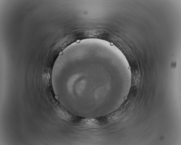 X0000098020427200804251142
