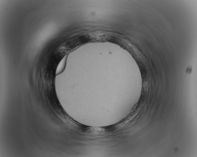 X0000098020429200804251142