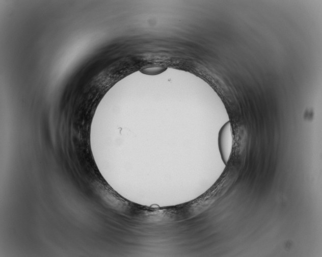 X0000098020430200804251142