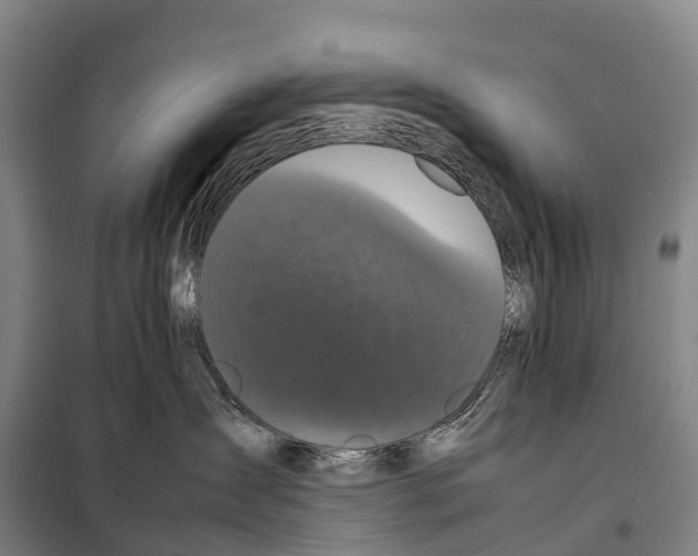 X0000098020431200804251142