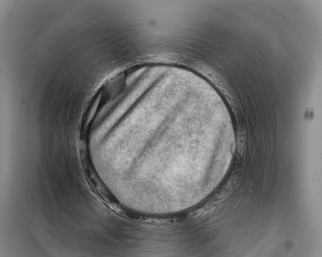X0000098020434200804251141