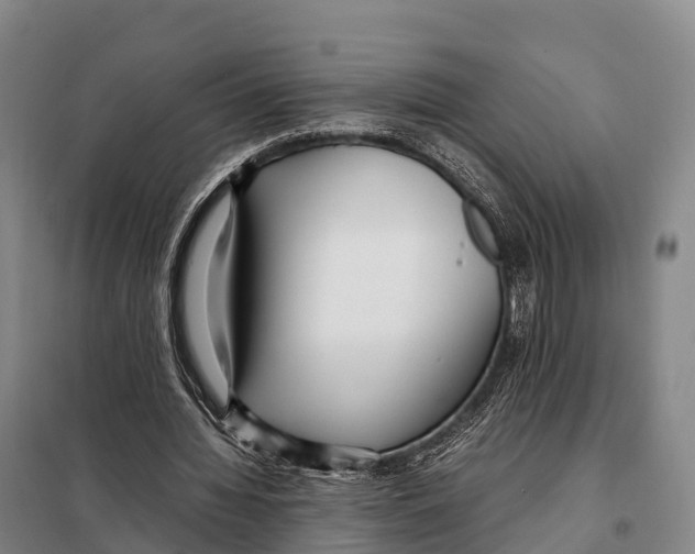 X0000098020436200804251141