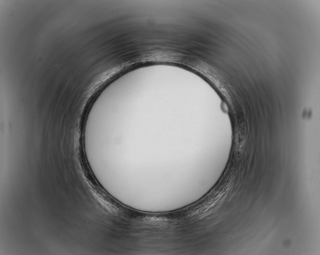 X0000098020437200804251141