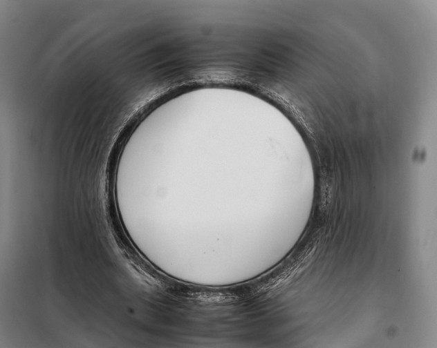 X0000098020439200804251141