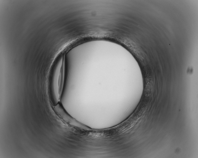 X0000098020440200804251141