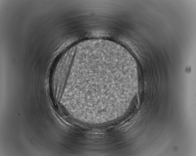 X0000098020443200804251141