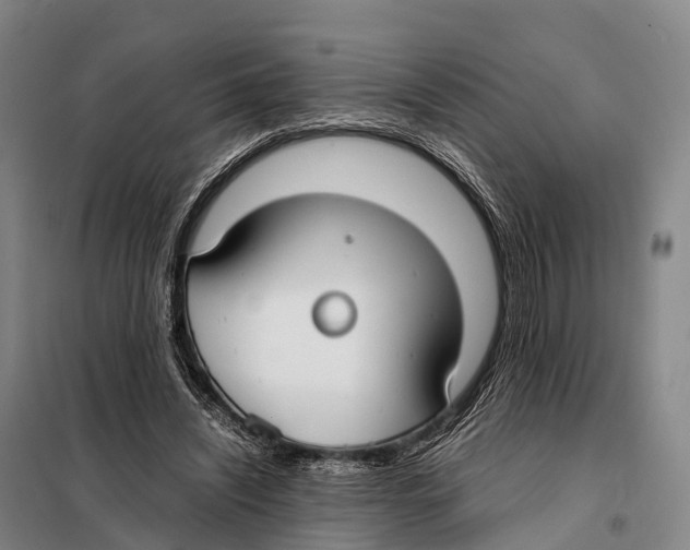 X0000098020444200804251141