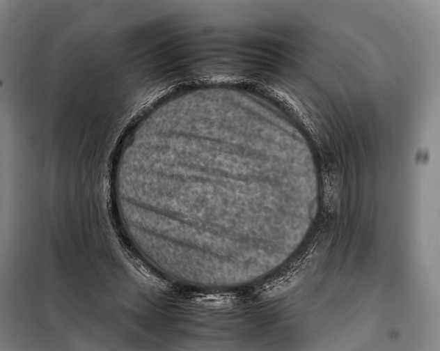 X0000098020447200804251141