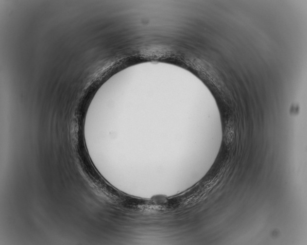 X0000098020448200804251141