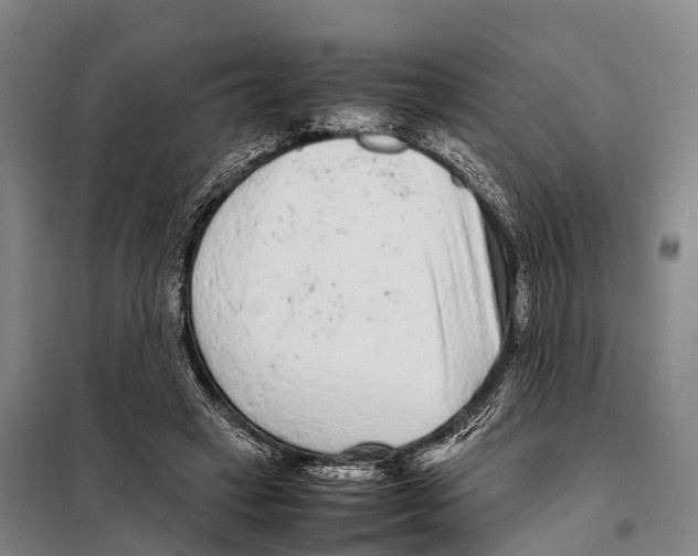 X0000098020449200804251141
