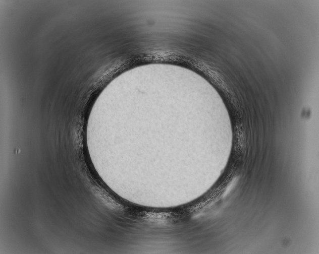 X0000098020450200804251141