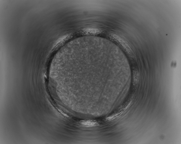 X0000098020451200804251141