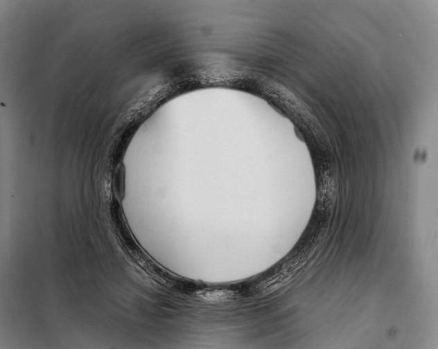 X0000098020452200804251141