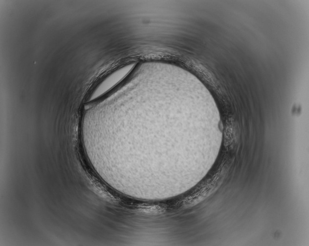 X0000098020454200804251141