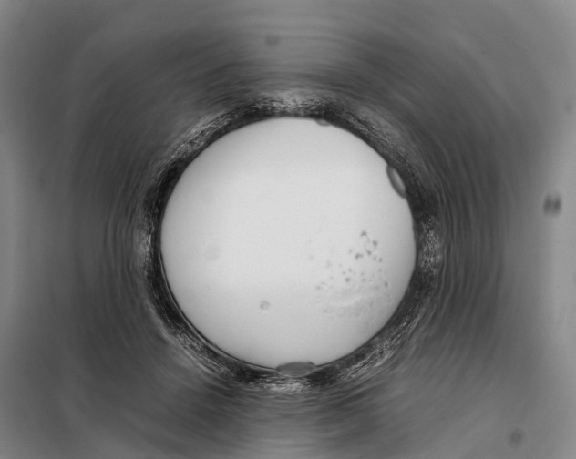 X0000098020456200804251141