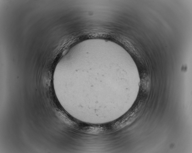 X0000098020458200804251141