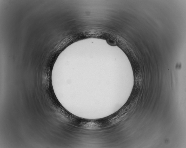 X0000098020460200804251141
