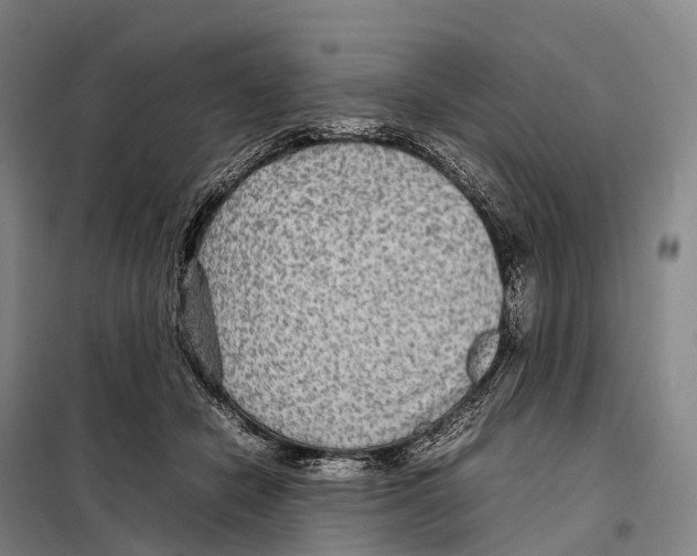 X0000098020462200804251141