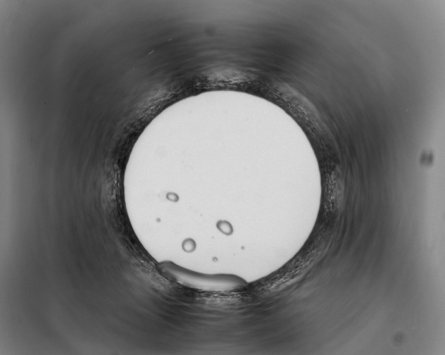 X0000098020463200804251141