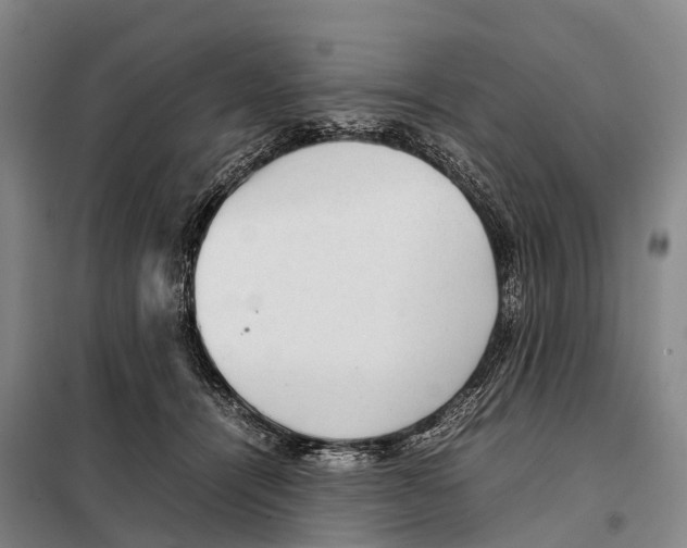 X0000098020464200804251141