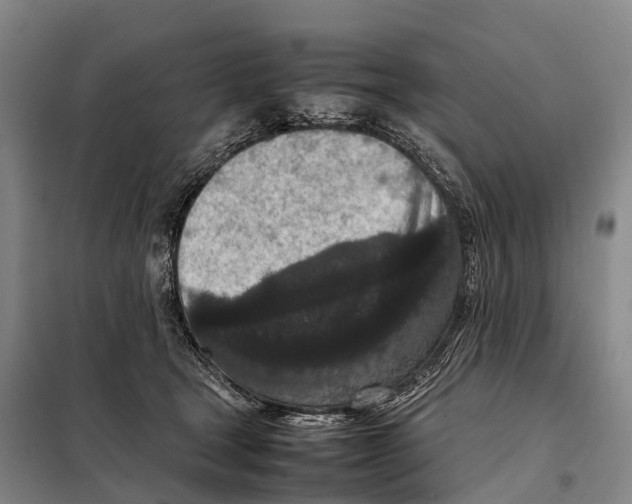 X0000098020465200804251141