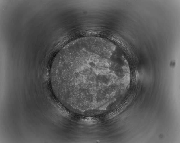 X0000098020467200804251141