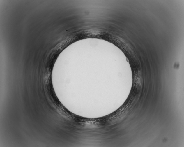 X0000098020468200804251141