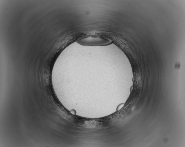 X0000098020470200804251141