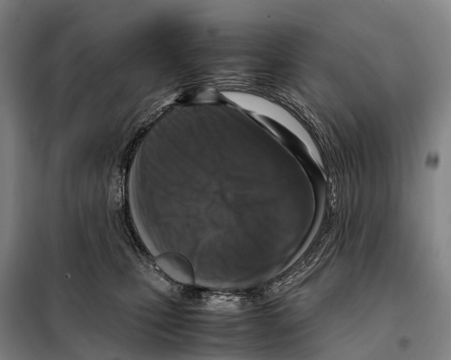 X0000098020471200804251141