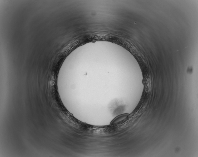 X0000098020472200804251141