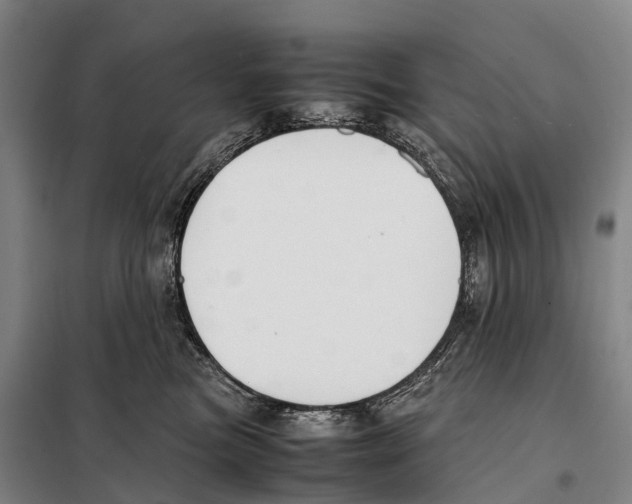 X0000098020473200804251141