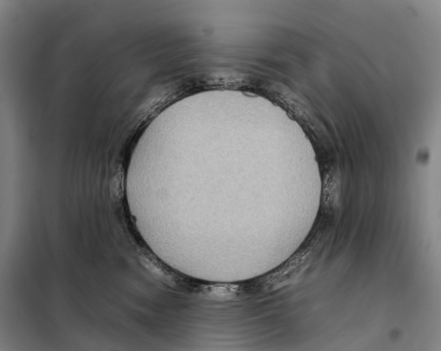 X0000098020474200804251141