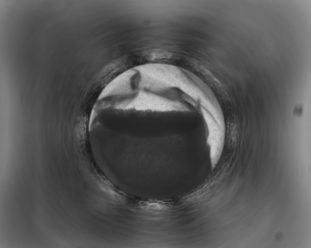 X0000098020475200804251142
