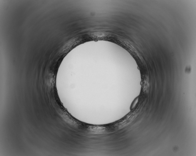 X0000098020476200804251142