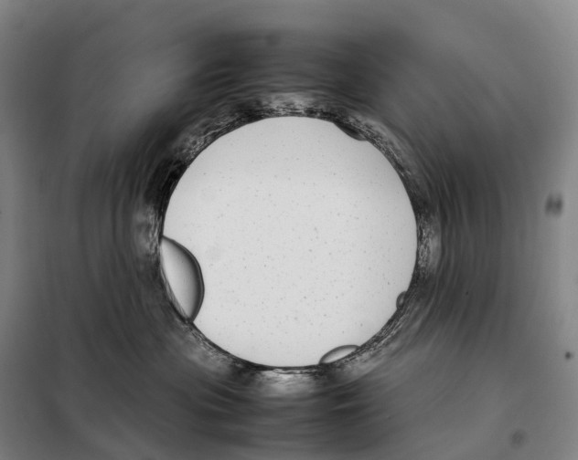 X0000098020477200804251142