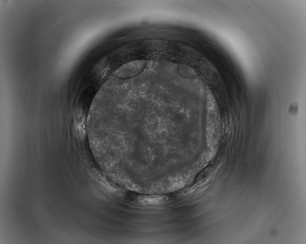 X0000098020479200804251142