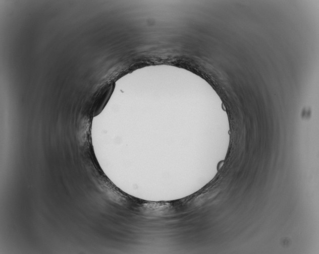 X0000098020480200804251142