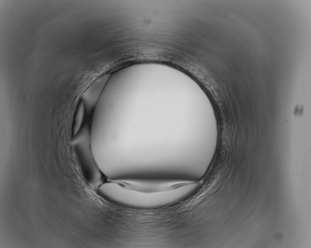 X0000098020481200804251141