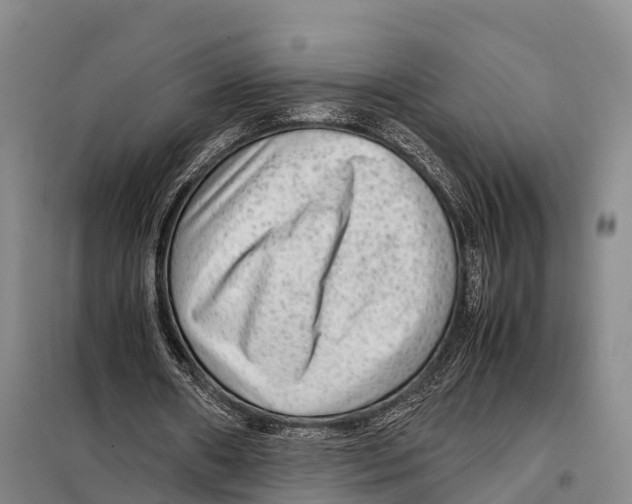 X0000098020482200804251141
